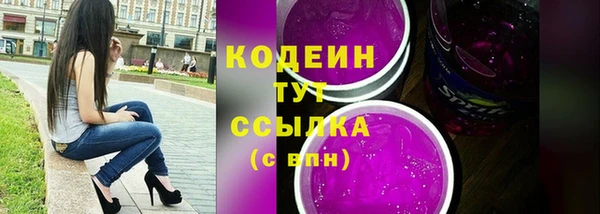 spice Ельня
