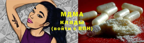 spice Ельня