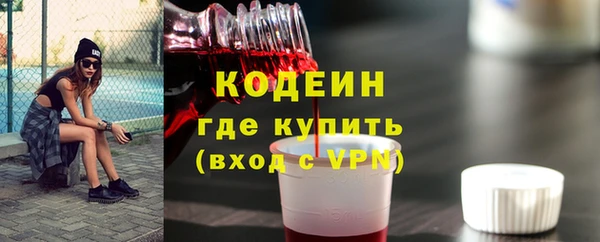 spice Ельня