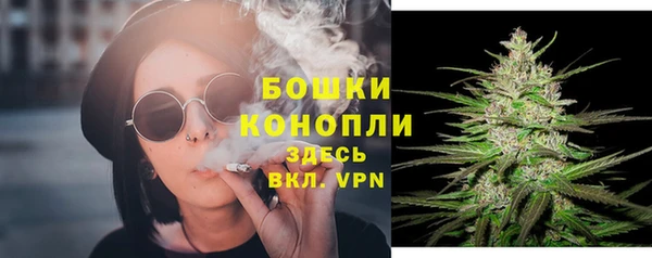 тгк Елабуга