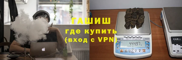 spice Ельня