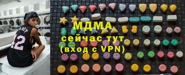 spice Ельня