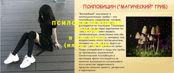 тгк Елабуга