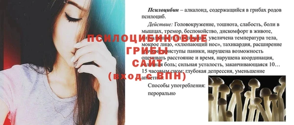 тгк Елабуга