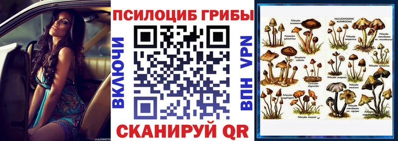 Купить  Каменск-Шахтинский  Псилоцибиновые грибы Cubensis 